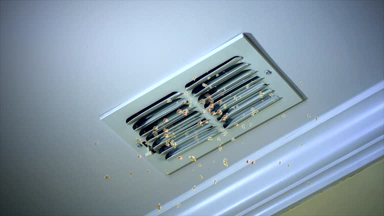 Best Local Air Duct Cleaning Services  in Morris Plains, NJ